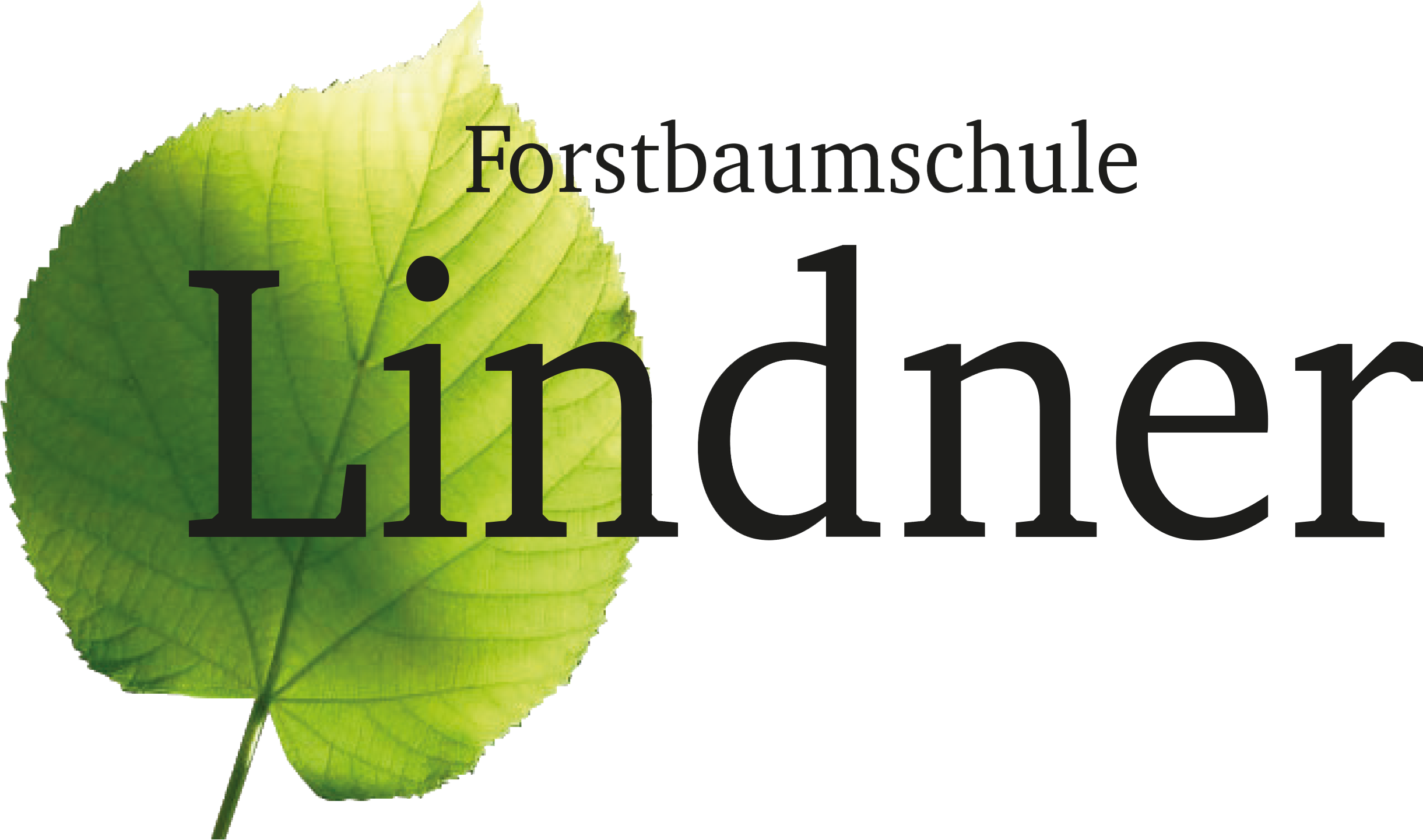 © 2024 Forstbaumschule Lindner